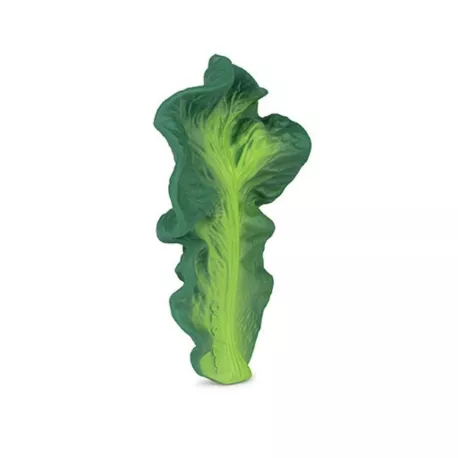 Oli & Carol Mordedor Kendall The Kale