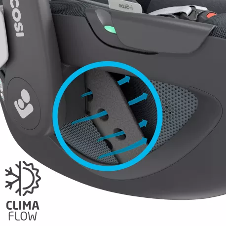 Maxi-Cosi Silla Coche Grupo 0+ Pebble 360